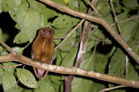 https://images.plurk.com/6epMqOY02qHeQC0ntl2XcB.jpg