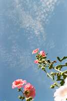 https://images.plurk.com/6eriDBcMR9QTl1NZ0q7lNX.jpg