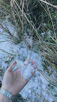 https://images.plurk.com/6ex844XDQUYWnC3a8wscWn.jpg