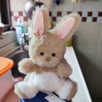 https://images.plurk.com/6f20ewEGtV2wBXF8zZhsqX.jpg