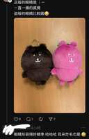 https://images.plurk.com/6f4nm7z9UiARJbCDOgfkJB.jpg