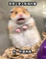 https://images.plurk.com/6f7zBbhIka4LaHQ9vp8uN4.png
