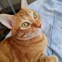 https://images.plurk.com/6f8MfkoX1cMqIAxb85unci.jpg