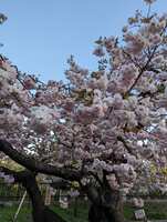 https://images.plurk.com/6f8qAXZk66eKRQdZGWXDfM.jpg