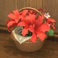https://images.plurk.com/6fAENVJ7J0TlXTBPTnjvCk.png