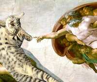 https://images.plurk.com/6fI7veibgixIyZm6iRfuqJ.jpg