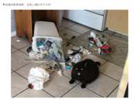 https://images.plurk.com/6fLvbpo3s1nYBjrNhn2qoE.png