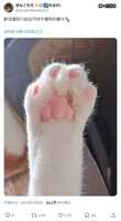 https://images.plurk.com/6fWnHKen4piwkzL6LuKD0i.png