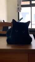 https://images.plurk.com/6faOIuEmdrI8tYrJdA6osD.jpg