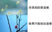 https://images.plurk.com/6fas0mLXFceUkj2j0gQsUa.png