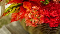 https://images.plurk.com/6fcW6enLLpZzReb3I6EaLT.jpg