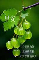 https://images.plurk.com/6fk4wQ7M2qORl9q2fIBGpm.jpg