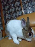 https://images.plurk.com/6fkVqDh5t2FJw0mE4zusdz.jpg
