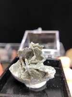 https://images.plurk.com/6fqr2UYPmJBY37VcM3ejcT.jpg