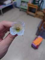 https://images.plurk.com/6g5qdryIpzCEqJwjAPFjAC.jpg