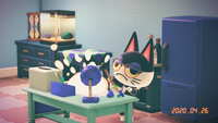https://images.plurk.com/6g7B8yUpW2KGuSDFIoCWDA.jpg