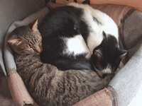 https://images.plurk.com/6g8gXTntGr6lBCb4QNdVzx.jpg