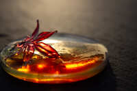 https://images.plurk.com/6g9l34pEfO96qSkCUNL3cs.jpg