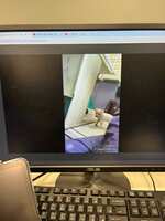 https://images.plurk.com/6gDRKfPBDpKhGoGhaZ1TBY.jpg
