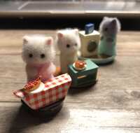 https://images.plurk.com/6gFMF41a43FrfZhocBqM7W.jpg
