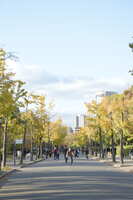 https://images.plurk.com/6gIwhFCqBnkldHEpiOtysd.jpg