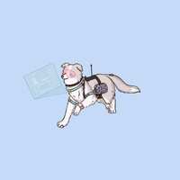 https://images.plurk.com/6gKKtmgdwLvxbkasJ3hcKn.png