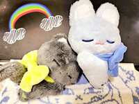https://images.plurk.com/6gZTVGJTvPOi28Xcut837f.jpg