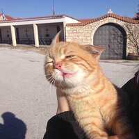 https://images.plurk.com/6gZZZUXRWGHqcLrS0uiWyV.jpg