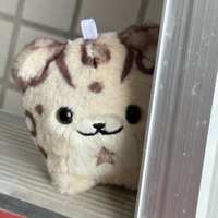 https://images.plurk.com/6gatrHmnIwNcZPxEFQDP8B.jpg
