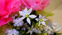 https://images.plurk.com/6gdZSGWtmkGUAwSYkna1Rz.jpg