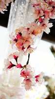 https://images.plurk.com/6gen44IZtjjTAbe0ONiW2F.jpg