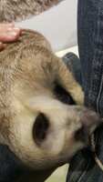 https://images.plurk.com/6ggltp8Oo7pmh1qtBoEHnd.jpg
