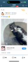 https://images.plurk.com/6gpueOGMVDAnQEMzVxwxwB.png