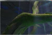 https://images.plurk.com/6gtLKkF3o7m1uilFdwEce1.png