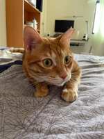 https://images.plurk.com/6hCpD3bkUB5DXoEq9hayY1.jpg