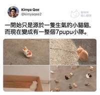 https://images.plurk.com/6hE9czNotq67jG9zBnkumO.jpg