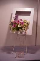 https://images.plurk.com/6hKye9kkshfukv6cccezA8.jpg