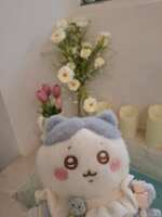 https://images.plurk.com/6hghN0EioMWpDsJg7qbYCT.jpg