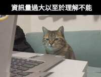 https://images.plurk.com/6i01tOf3GZKjtvOMOio0iN.jpg