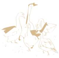 https://images.plurk.com/6i774zXGTJhN3SvDQBpUWQ.png