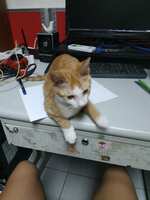 https://images.plurk.com/6iMjJdpSr9kSJqY8btB2f6.jpg