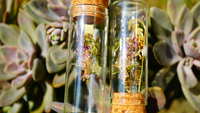 https://images.plurk.com/6iMjnCy2PabKG5VXVsAlw1.jpg