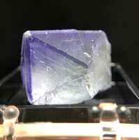 https://images.plurk.com/6iNcILnnTuyl82l3KXG5gG.jpg