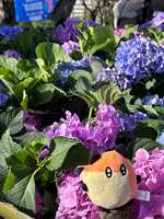 https://images.plurk.com/6iRsNwtgMsgcs2aYt221FG.jpg
