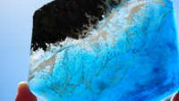 https://images.plurk.com/6ia7LDwqDbcDx8OnzvpRud.jpg