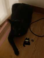 https://images.plurk.com/6imEWmXbIrFRSVqW0CzgcX.png