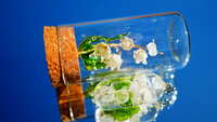 https://images.plurk.com/6irplPLpfTnPsxnY3pifpg.jpg