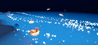 https://images.plurk.com/6itu9EZcLbFgd99JYgXVvC.jpg
