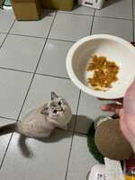 https://images.plurk.com/6jClwjZUR80t0wnK1UOIW8.jpg