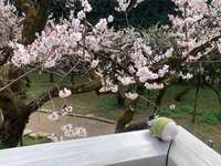 https://images.plurk.com/6jH98YlbAmRXe1lhtVAMOW.jpg